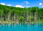 See Blue Pond, Biei, Hokkaido