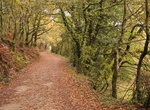 Walk or Cycle the Portuguese Way (Caminho Portugués), Portugal & Spain