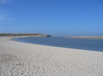 Explore Dunes of Texel National Park, Netherlands