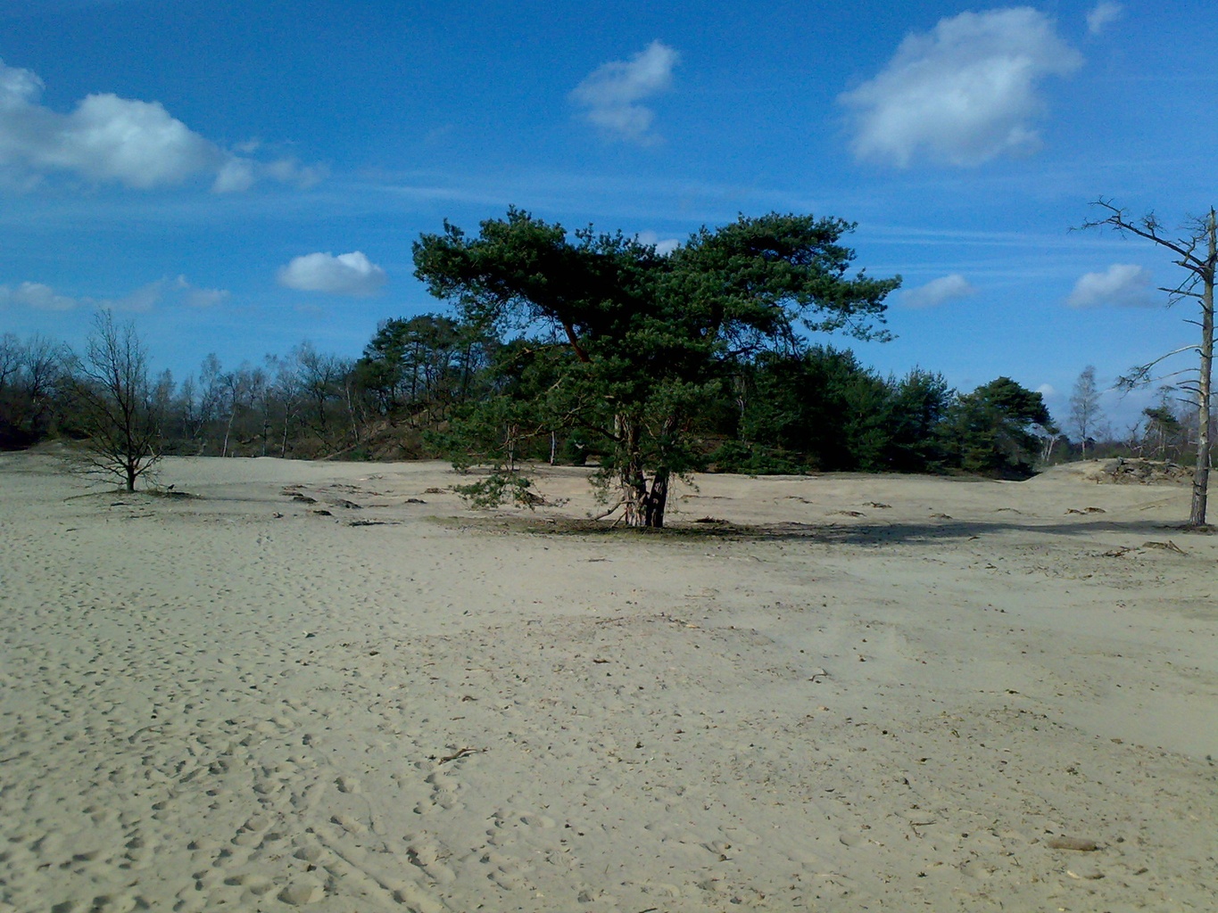 Loonse en Drunense Duinen National Park