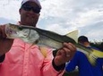 Crystal River Inshore Fishing Charter
