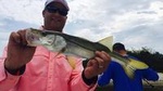 Crystal River Inshore Fishing Charter