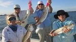 Melbourne Inshore Fishing Charters