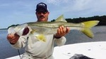 Tampa Bay Inshore Fishing Charters