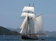 Bay of Islands Tall Ship Sundowner Sailing