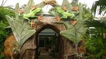 Natura Premium Tour (butterflies frogs snakes crocodiles turtles nature.trails)