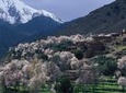 Atlas Mountains and 4 Valleys Private Tour from Marrakech