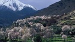 Atlas Mountains and 4 Valleys Private Tour from Marrakech