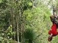 ATV, Ziplines and Cenote Combo Tour at Extreme Adventure Eco Park