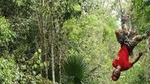 ATV, Ziplines and Cenote Combo Tour at Extreme Adventure Eco Park