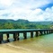 Best of Kauai Tour by Land, River, and optional Air