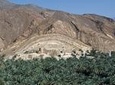 Cool and Green Garden Tour from Muscat