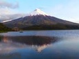 Cotopaxi Full-Day Small Group Tour from Quito
