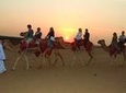 Desert Experience with BBQ Dinner and Entertainment
