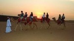 Desert Experience with BBQ Dinner and Entertainment