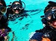 Discover Scuba Diving in San Juan