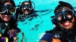 Discover Scuba Diving in San Juan