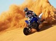 Dubai 30-Mins Quad Bike Ride,Desert Safari,Camel Ride,Sand Boarding & BBQ Dinner