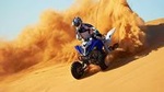 Dubai 30-Mins Quad Bike Ride,Desert Safari,Camel Ride,Sand Boarding & BBQ Dinner