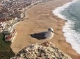 Fatima Batalha Nazare Obidos Full-Day Group Tour from Lisbon