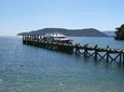 Full-Day Marlborough Catamaran Cruise with Wine Tour and Lunch