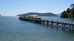 Full-Day Marlborough Catamaran Cruise with Wine Tour and Lunch