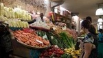 Full-Day Mauritian Culinary Experience