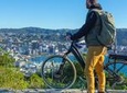 Full-Day Wellington Self-Guided Electric Bike Tour