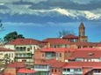 Full Day Tour in Sighnaghi Bodbe Tsinandali from Tbilisi