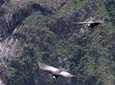 Apurimac Canyon with Condor Viewing from Cusco