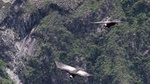 Apurimac Canyon with Condor Viewing from Cusco