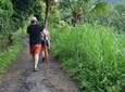 Ubud Trekking and Traditional Massage Experience