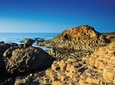 Guided Day Tour of Giant's Causeway from Belfast by Comfortable Coach