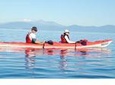 Half-Day Kayak to the Maori Carvings from Taupo