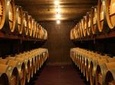 Wine Experience Napier Tour: ..... 5 hours