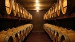 Wine Experience Napier Tour: ..... 5 hours