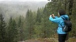Half-Day Nature Adventure to Nuuksio National Park from Helsinki