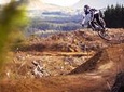 Half-Day Self-Guided Mountain Bike Journey through Whakarewarewa Redwood Forest