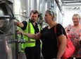 Ultimate Wine Tour in Napier: .... 5 - 6.5 hours