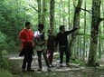 St. James’ Way hike fro San Sebastián to San Pedro, transfer back included