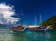 Ilha Grande and Green Coast Tour from Rio de Janeiro