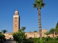 Marrakech City Highlights Half-Day Tour