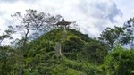 Half-day Private Menoreh Hill Trekking Tour from Borobudur