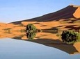 Merzouga 4X4 Half-Day Tour with Lunch