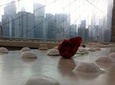 New York City Private and Personalised Walking Experience 