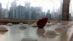 New York City Private and Personalised Walking Experience 