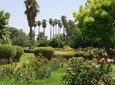 Ourika Garden Guided Day Trip from Marrakech