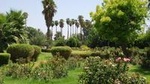 Ourika Garden Guided Day Trip from Marrakech