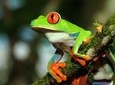 Photography Tour at Natura Eco Park