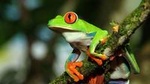 Photography Tour at Natura Eco Park